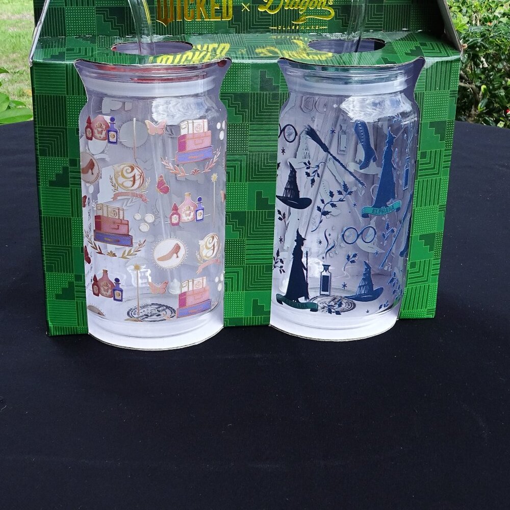 Wicked Dragon Glassware 2 Pack 16 oz Glinda & Elphiba Glass with Straw Set NEW